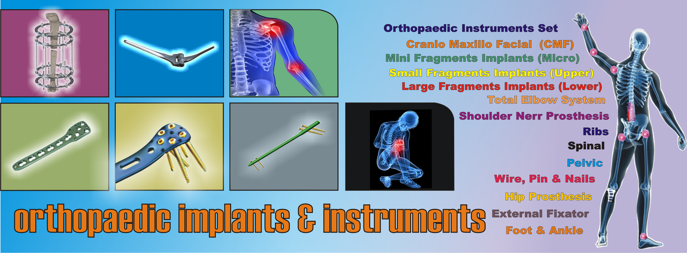 Orthopaedic Implants & Instruments